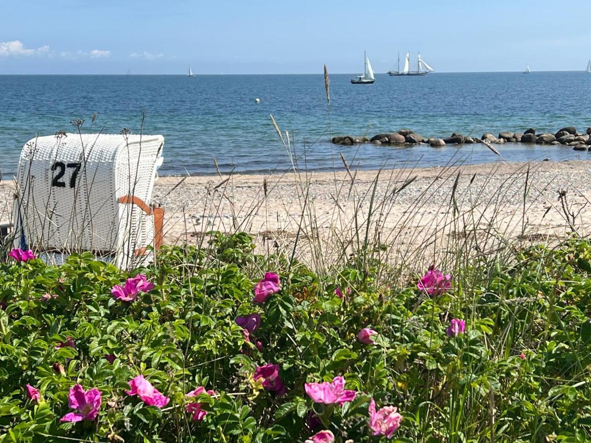 Seelund - Meeresrauschen Lauschen - Ruhiges Sonniges Apartment Mit Garten Und Terrasse Nahe Strand Und Ostsee Schönhagen Екстериор снимка